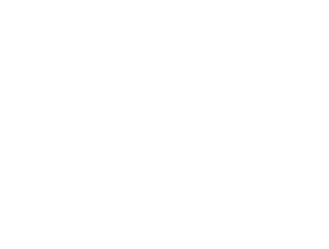 Slate effect melamine platters and plates
