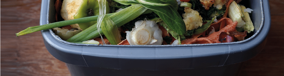 Container of domestic food waste, ready to be collected by the recycling truck