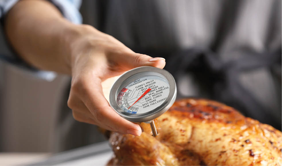 Young woman measuring temperature of whole roasted turkey with meat thermometer