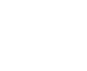 SHARPENING STEELS