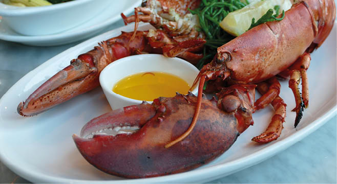 Delicious lobster with butter on the plate