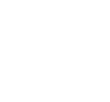 SKULL CAPS