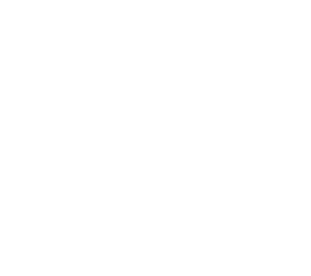 FOOD PRESENTATION