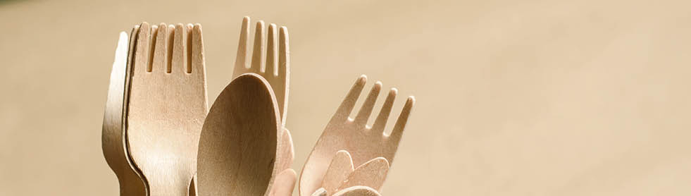 Disposable tableware from natural materials, wooden spoon, fork, knife, eco-friendly. Place for text