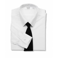 Shirt Plain Collar Long Sleeves