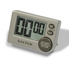 Salter Timer