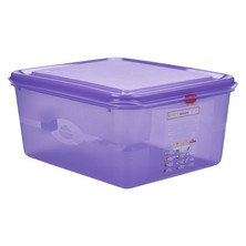 Allergen Storage Container With Lid GN 1/2 150mm 10L