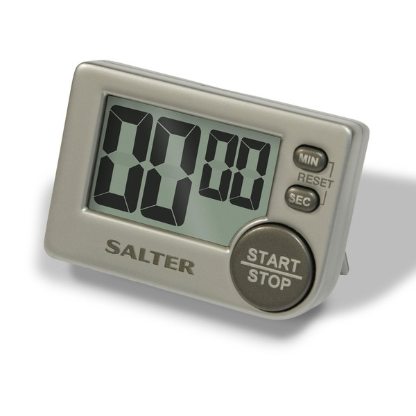 Salter Timer