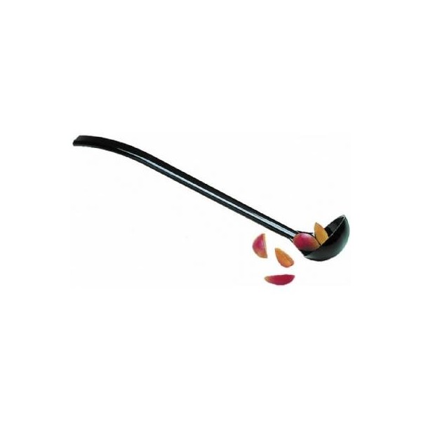 Carly Ladle Black 24cm