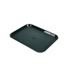 Fast Food Tray 36cm X 46cm